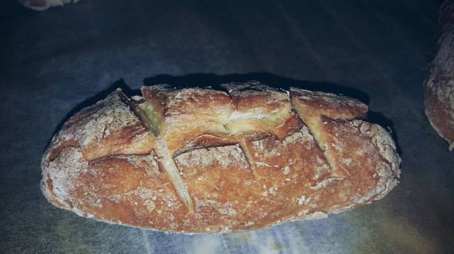 15774780_1207994345915776_772476506188802183_o